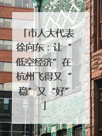 市人大代表徐向东：让“低空经济”在杭州飞得又“稳”又“好”