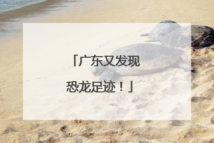 广东又发现恐龙足迹！