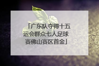广东队夺得十五运会群众七人足球赛佛山赛区首金