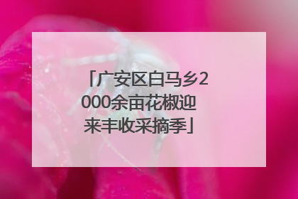 广安区白马乡2000余亩花椒迎来丰收采摘季