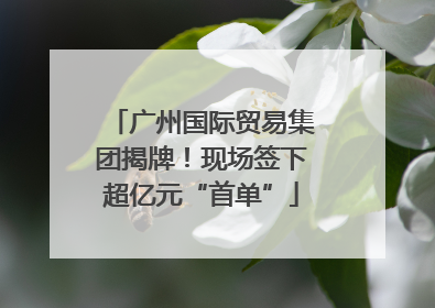 广州国际贸易集团揭牌！现场签下超亿元“首单”