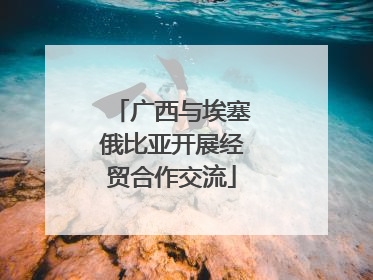 广西与埃塞俄比亚开展经贸合作交流