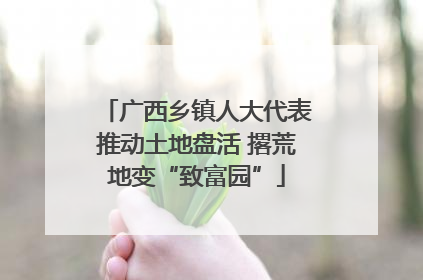 广西乡镇人大代表推动土地盘活 撂荒地变“致富园”