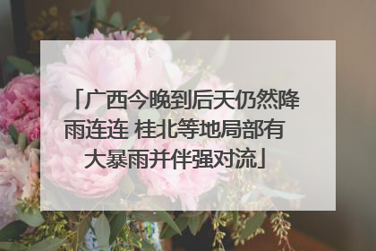广西今晚到后天仍然降雨连连 桂北等地局部有大暴雨并伴强对流