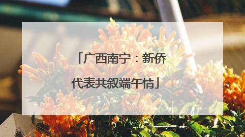 广西南宁：新侨代表共叙端午情