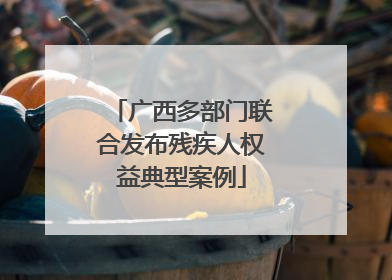 广西多部门联合发布残疾人权益典型案例