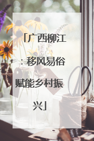广西柳江：移风易俗赋能乡村振兴