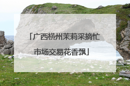 广西横州茉莉采摘忙 市场交易花香飘