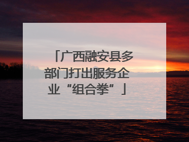广西融安县多部门打出服务企业“组合拳”