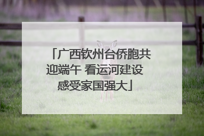广西钦州台侨胞共迎端午 看运河建设感受家国强大