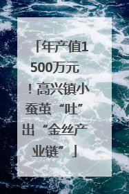 年产值1500万元！高兴镇小蚕茧“吐”出“金丝产业链”