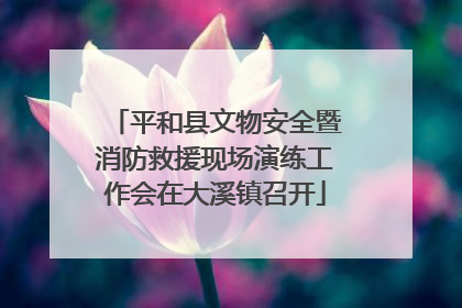 平和县文物安全暨消防救援现场演练工作会在大溪镇召开