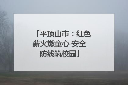 平顶山市：红色薪火燃童心 安全防线筑校园