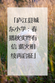 庐江县城东小学：春播秋实终有信 薪火相续再启征
