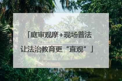 庭审观摩+现场普法 让法治教育更“直观”