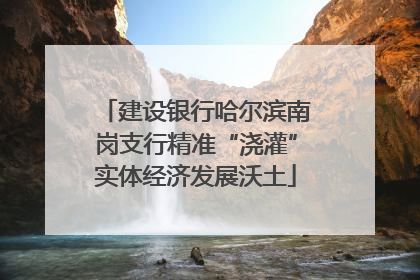 建设银行哈尔滨南岗支行精准“浇灌”实体经济发展沃土