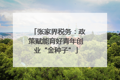张家界税务：政策赋能育好青年创业“金种子”