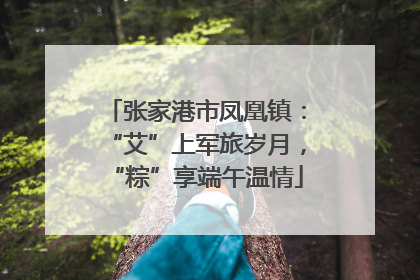 张家港市凤凰镇：“艾”上军旅岁月，“粽”享端午温情