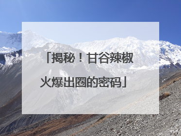揭秘！甘谷辣椒火爆出圈的密码