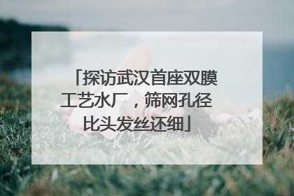 探访武汉首座双膜工艺水厂，筛网孔径比头发丝还细
