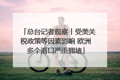 总台记者观察丨受美关税政策等因素影响 欧洲多个港口严重拥堵