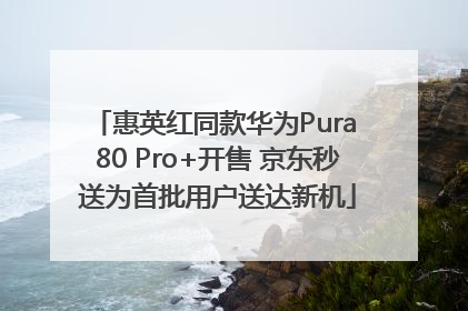 惠英红同款华为Pura 80 Pro+开售 京东秒送为首批用户送达新机