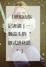 感知山东记者谈｜一颗蒜头的“链式进化论”