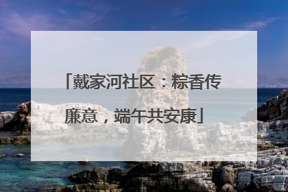 戴家河社区：粽香传廉意，端午共安康