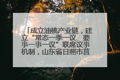 成立油桃产业链，建立“常态一季一议、要事一事一议”联席议事机制，山东省日照市莒县果庄镇——13个党小组“全周期”育果