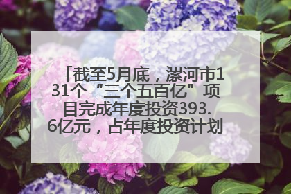截至5月底，漯河市131个“三个五百亿”项目完成年度投资393.6亿元，占年度投资计划的50.41%——“三个五百亿”项目带动产业提质升级