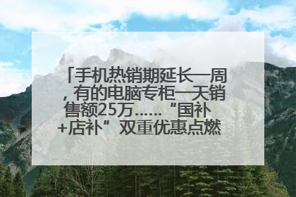 手机热销期延长一周，有的电脑专柜一天销售额25万……“国补+店补”双重优惠点燃德州“考后经济”