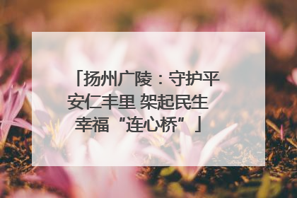 扬州广陵：守护平安仁丰里 架起民生幸福“连心桥”