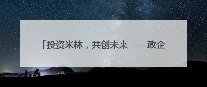 投资米林，共创未来——政企携手，共筑区域发展新高地