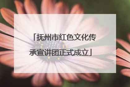 抚州市红色文化传承宣讲团正式成立