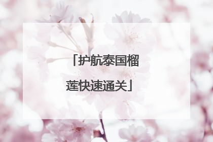 护航泰国榴莲快速通关