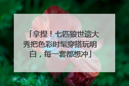 拿捏！七匹狼世遗大秀把色彩时髦穿搭玩明白，每一套都想冲