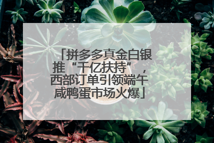 拼多多真金白银推“千亿扶持”，西部订单引领端午咸鸭蛋市场火爆