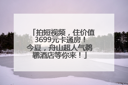拍短视频，住价值3699元卡通房！今夏，舟山超人气鹈鹕酒店等你来！