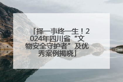 择一事终一生！2024年四川省“文物安全守护者”及优秀案例揭晓