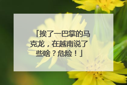 挨了一巴掌的马克龙，在越南说了些啥？危险！