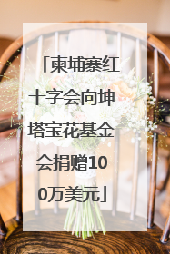 柬埔寨红十字会向坤塔宝花基金会捐赠100万美元