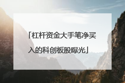 杠杆资金大手笔净买入的科创板股曝光