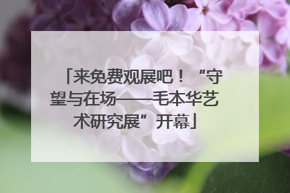来免费观展吧！“守望与在场——毛本华艺术研究展”开幕