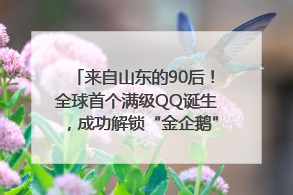 来自山东的90后！全球首个满级QQ诞生，成功解锁“金企鹅”，是继承父亲账号