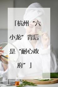 杭州“六小龙”背后是“耐心政府”