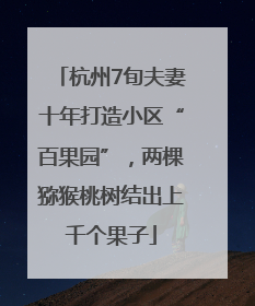 杭州7旬夫妻十年打造小区“百果园”，两棵猕猴桃树结出上千个果子