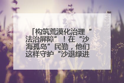 构筑荒漠化治理“法治屏障”！在“沙海孤岛”民勤，他们这样守护“沙退绿进”的生态奇迹