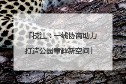 枝江：一线协商助力打造公园童趣新空间