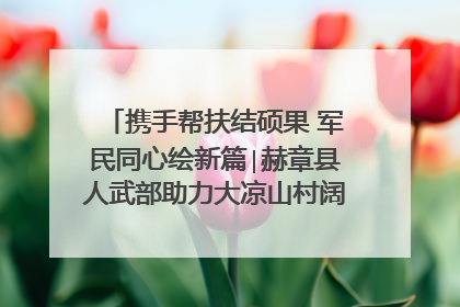 携手帮扶结硕果 军民同心绘新篇∣赫章县人武部助力大凉山村阔步乡村振兴路