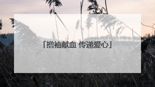 撸袖献血 传递爱心